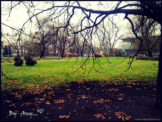 Barkovskaa Anna's photo