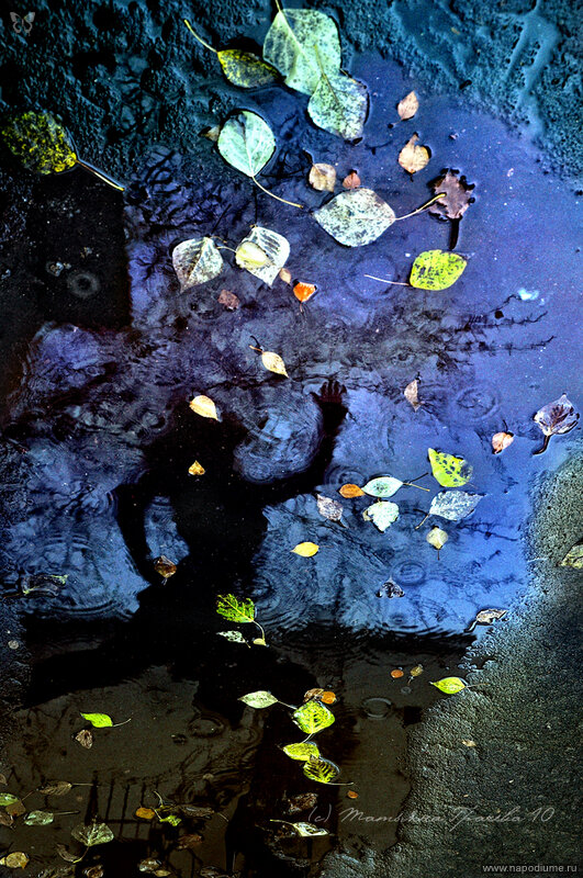 Ekaterina Kobruseva's photo