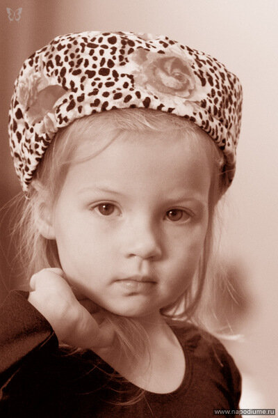 Vladimir Motov's photo