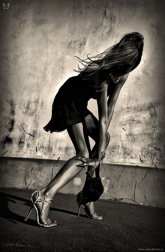 All Cuclic,  Fashion