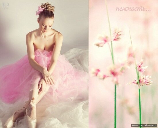 Nadezda ...'s photo