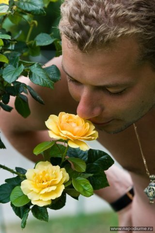 Maxim Kirilovich's photo