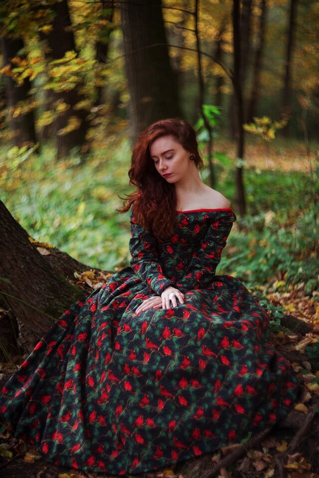The song of the birds