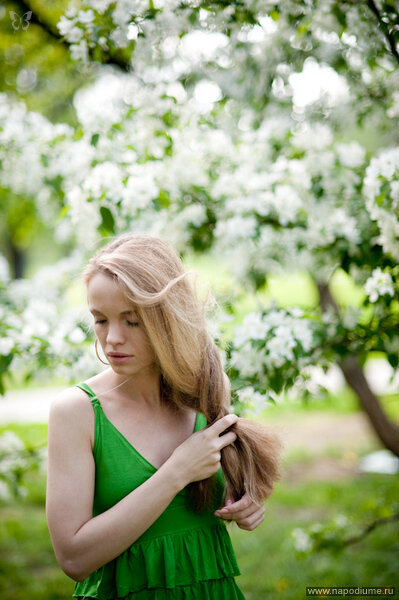 Aleksej Sokolov's photo