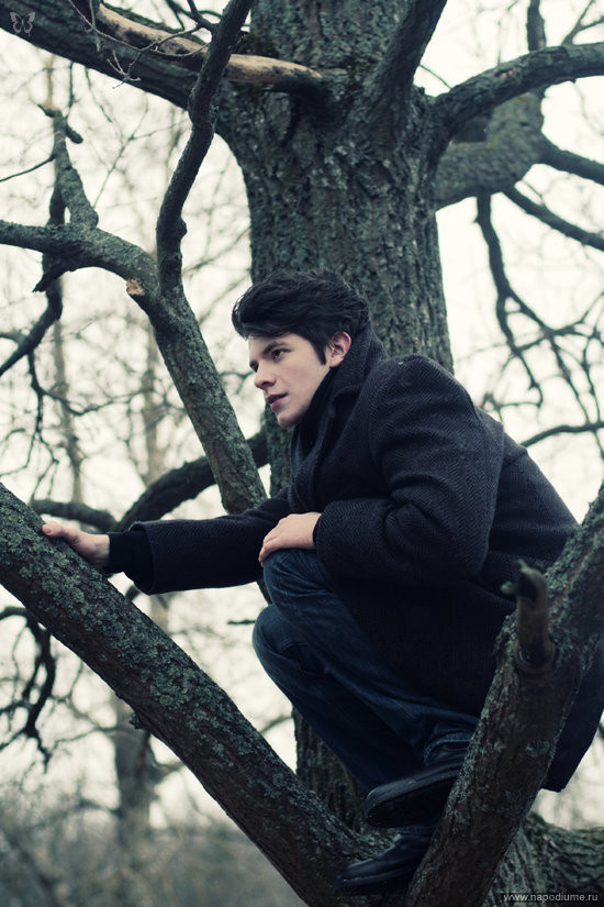 Twilight,  Сумерки,  Метцковский,  New,  кино