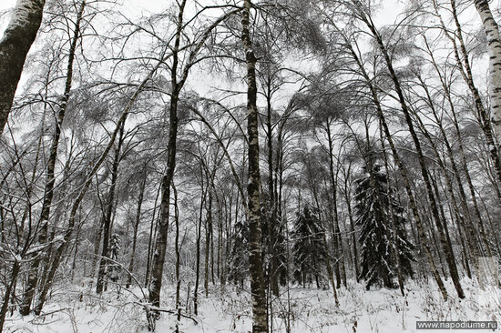 Фото Misha smisha Shipilov
