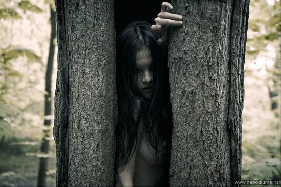 Фото Konstantin Alexandroff