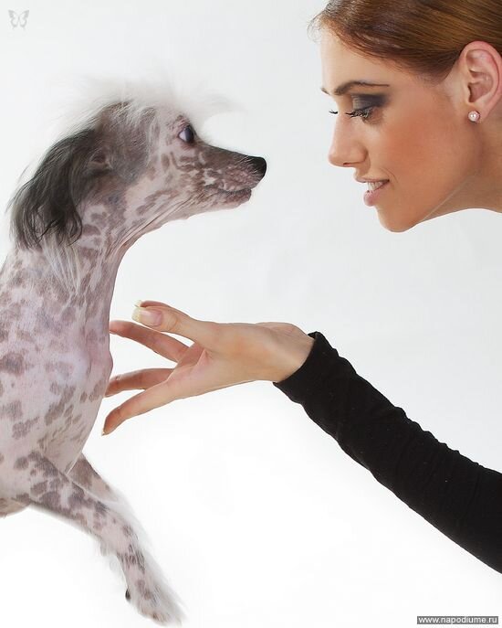 Mariya Yatchenko's photo