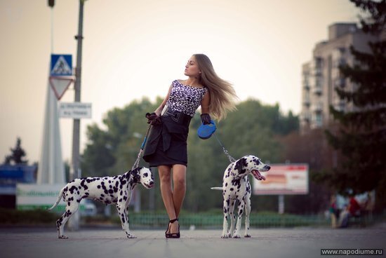 SYSOEVA SYSOEVA's photo