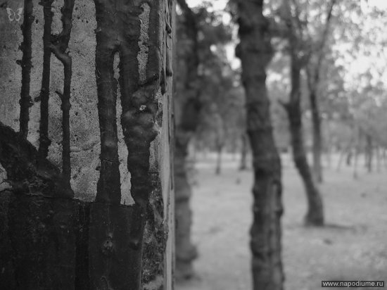 Katrin vinil's photo