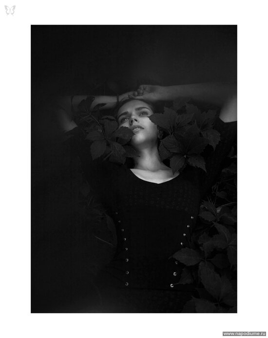 anton kovalenko's photo