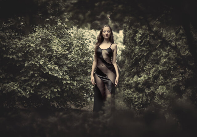 Peter Kladyk's photo