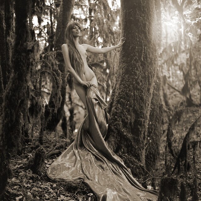 fedor simm's photo