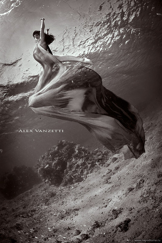 照片Alex Vanzetti