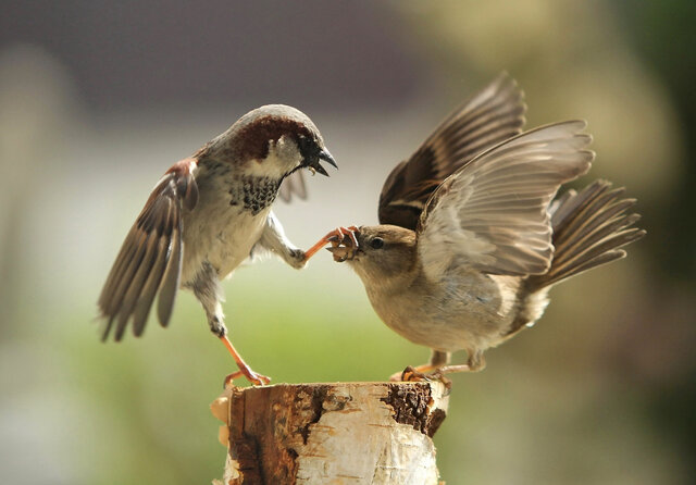 dmitrij mitin's photo