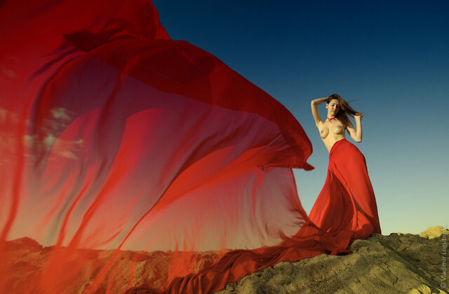 Vladimir Logutenko's photo