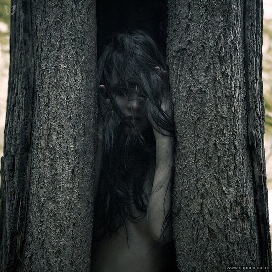 照片Konstantin Alexandroff