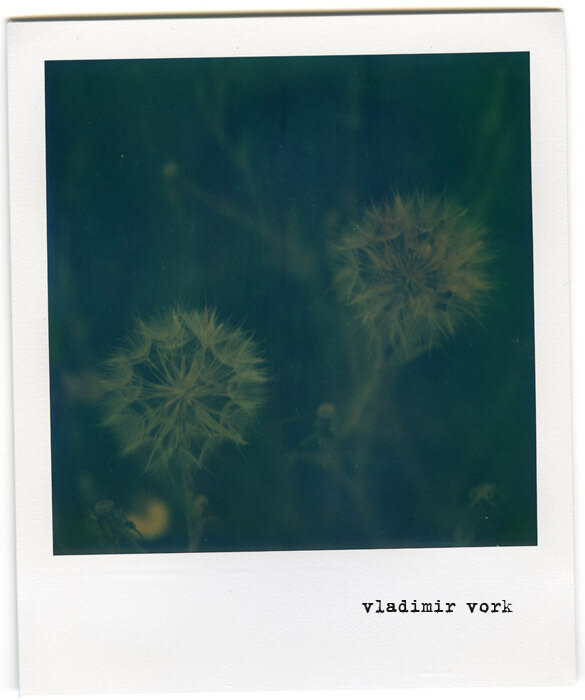 Vladimir Vork's photo
