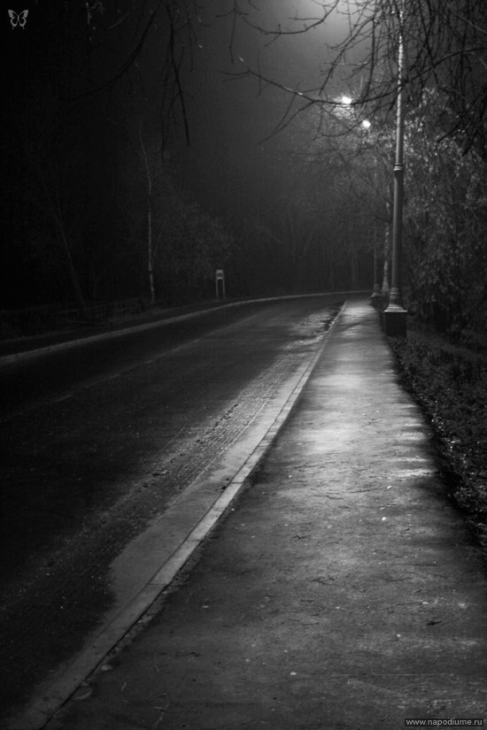 natalia zaitseva's photo
