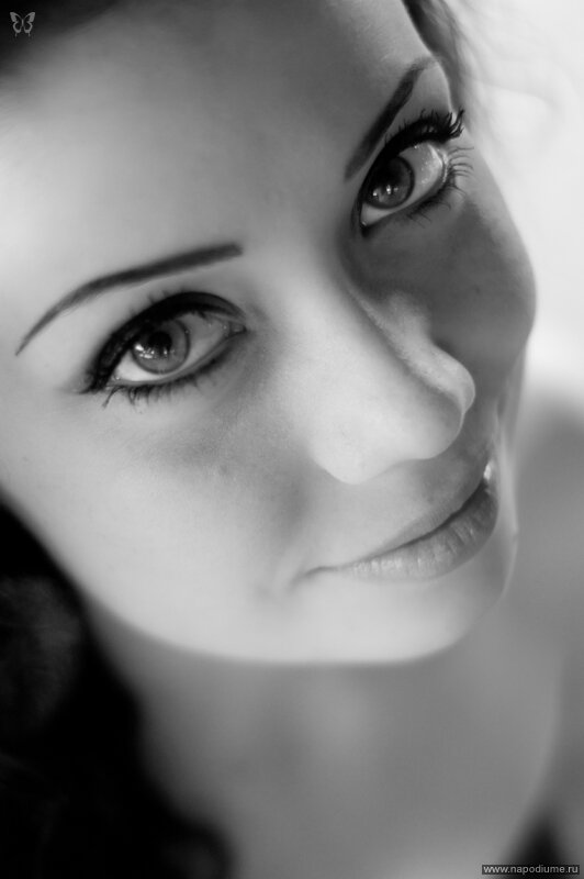 Gavrikov Nikolay's photo