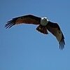 Almi's photo