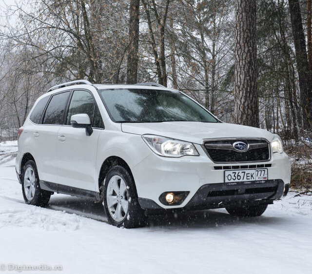 Pavel Sinakov's photo