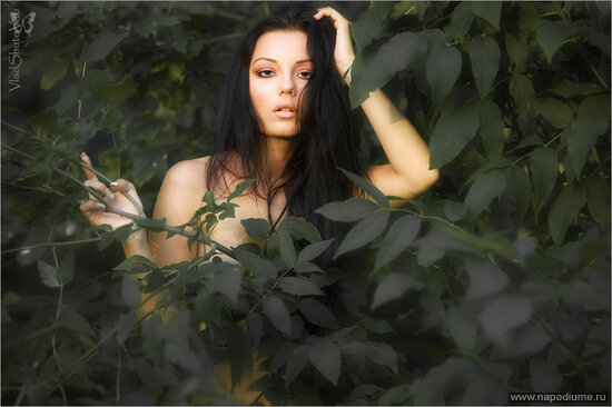 Kristina Schmidt's photo