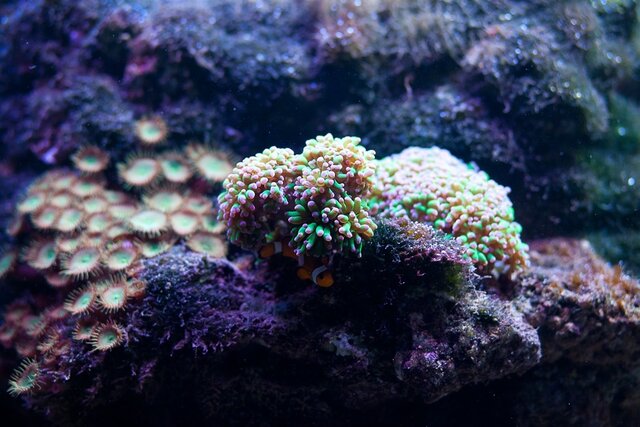 Maxim Panov's photo