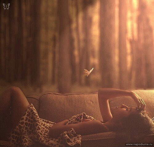 Anna Sorokina's photo