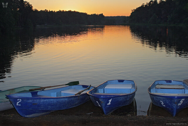 Andrej Vojcehov's photo