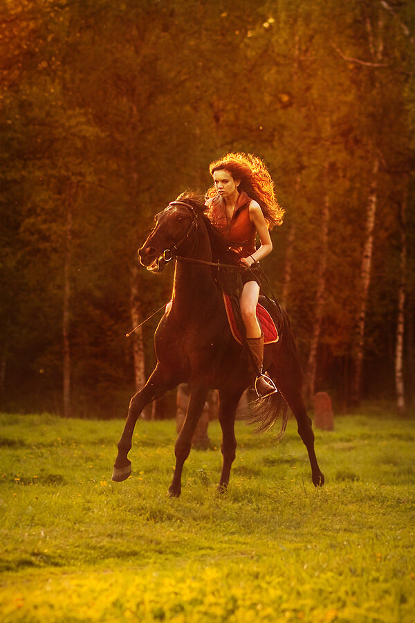 Pavel Alekseev's photo