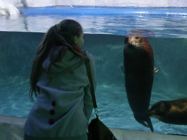 Anastasia Haraceban's photo
