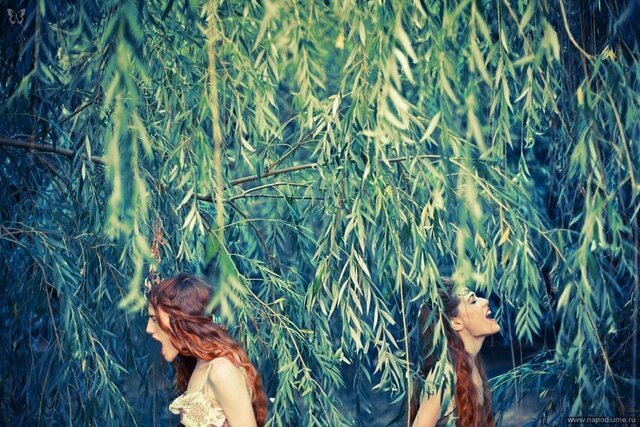 Elizaveta i Polina Manohiny's photo