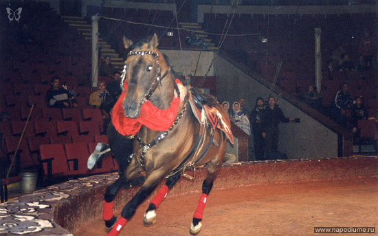 照片Sergej Mikul'skij