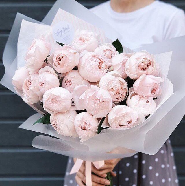 Madam Illarionova's photo