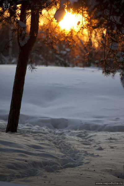 Irina Suslova's photo