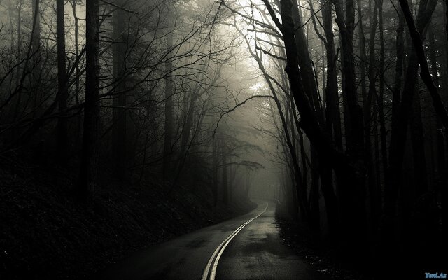 Фото Sergei S.