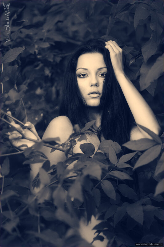 Kristina Schmidt's photo
