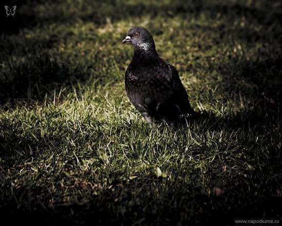 Ura kolas's photo