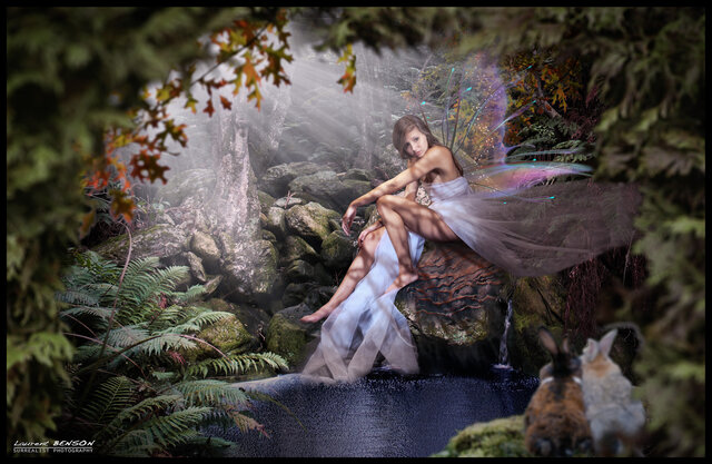 Fairy