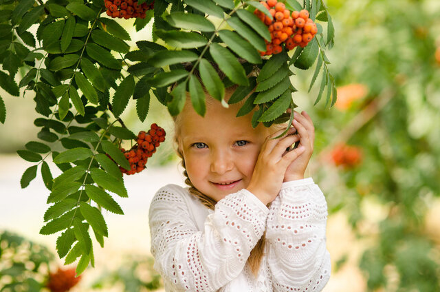 STANISLAV ZLATOV's photo