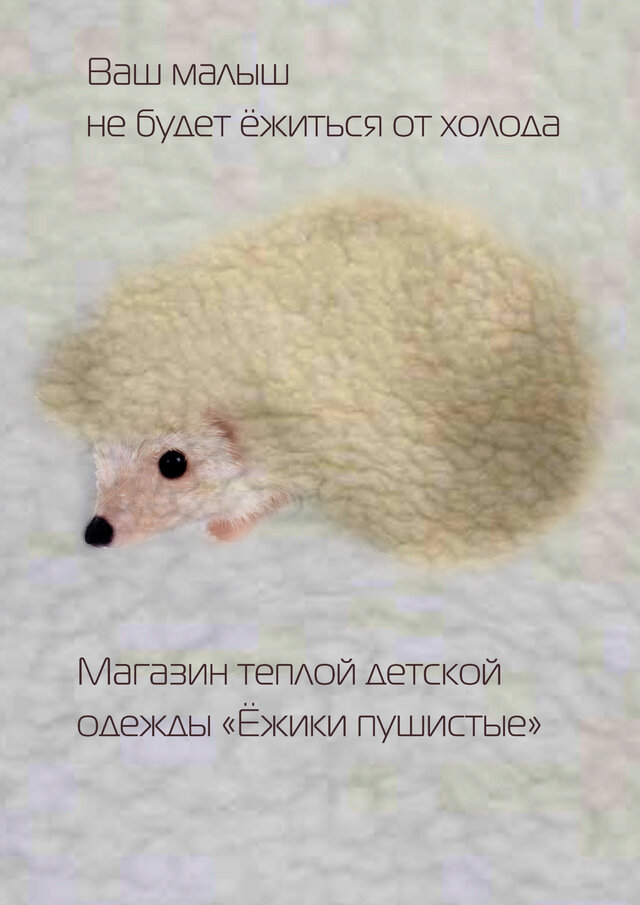Фото Lisa Shinori Egorova