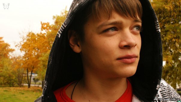 2008 год