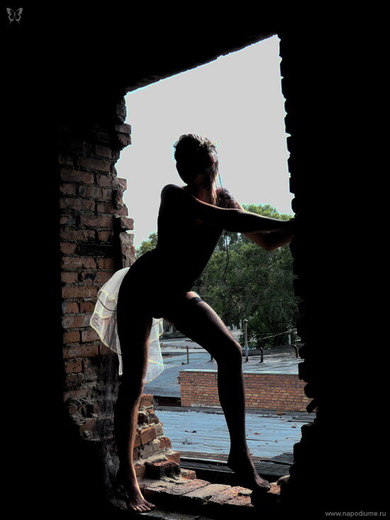 Vladimir Apollon Rostovcev's photo