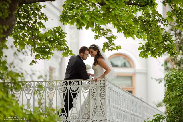 Zena Gorelikov's photo