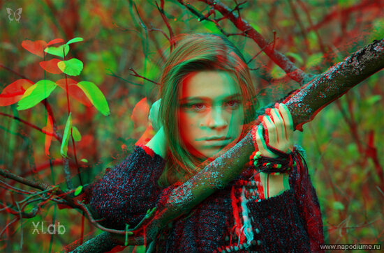 Ирма (3D фотография)