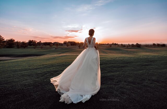 Gown, Wedding dress, Bride, Dress, Bridal clothing, Sky, Veil, Happy