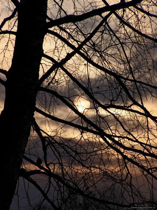 Ethir Anduin's photo