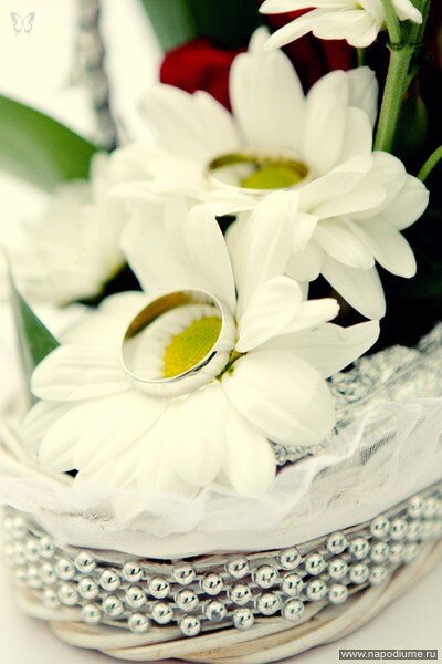 Olga Baskova's photo