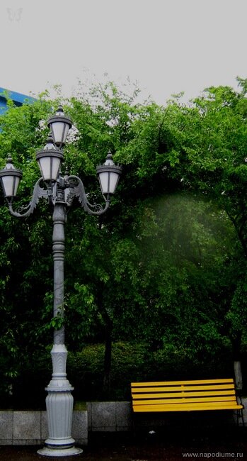 Фото саша полянчева